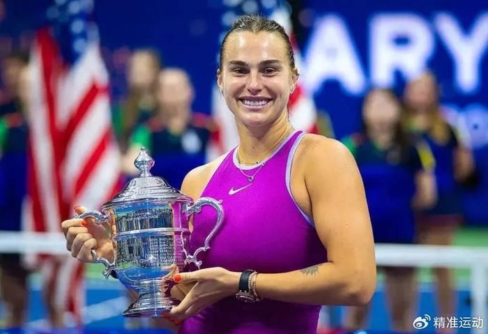 无人系统维 无人系统维